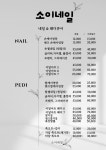 소이네일
