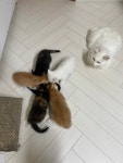 진도평화쉼터Nanas House