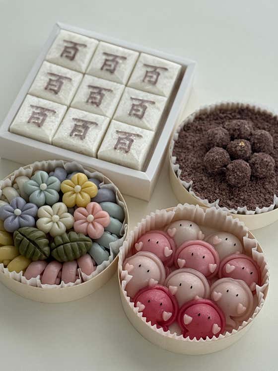 설백당 사진