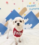 몽키펫