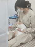 고양이미용실안냥