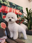 랄라몽