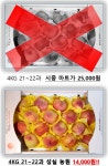 성실농원