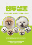 연두동물병원