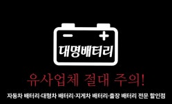 대명배터리