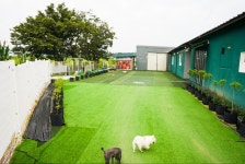 펫플러스라이프 애견미용호텔유치원 24시간돌봄센타