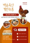 농장직송 계란유통 백송축산