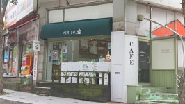 커피나무숲
