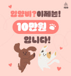 광주 강아지분양 고양이분양 어반펫 광주본점