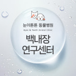 눈이튼튼동물병원 백내장연구센터
