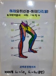 교하본정형외과의원