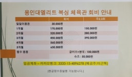 용인대엘리트복싱체육관 도마점