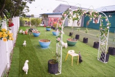 펫플러스라이프 애견미용호텔유치원 24시간돌봄센타