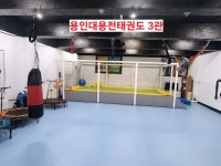 용인대용전태권도