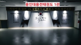용인대용전태권도
