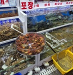 산호횟집
