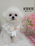 포댕포댕