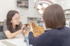 온누리동물병원