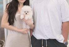 밀크독 켄넬 앤 카페 강아지 하남미사점