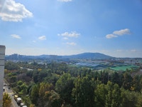 봄날공인중개사사무소