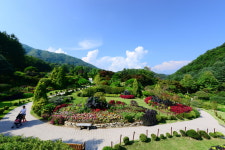 상면상가번영회