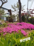 하얀도화지펜션