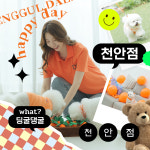 딩굴댕굴 애견호텔유치원