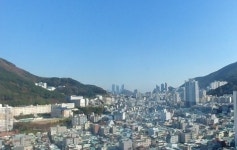 롯데탑부동산공인중개사사무소
