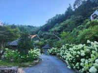 세인트인우둠지 펜션