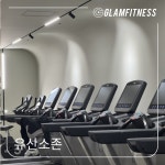 휘트니스W