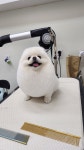 와와살롱