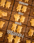 위치스위츠