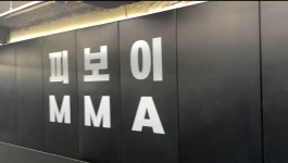 피보이 복싱/MMA/킥복싱
