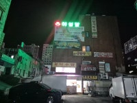 아성장