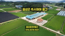 키움부동산 공인중개사 사무소