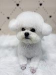 데려오개