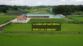 키움부동산 공인중개사 사무소