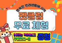 펫클럽 김포점