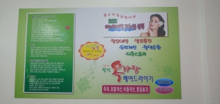엘샤론코리아