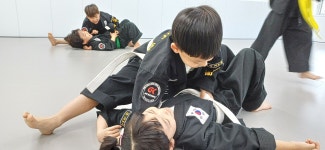 창원 감계 코리안 주짓수 종합격투기 공권유술