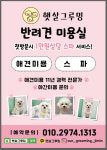 햇살그루밍 애견미용실