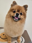 멍그라밍