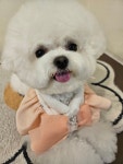 멍그라밍