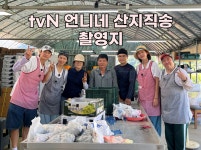 샤론포도농원