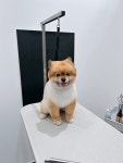 플러플리 FLUFFLY