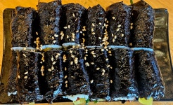 김밥전문공간얌얌 본점