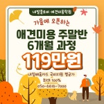네발클로버애견미용학원