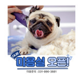 다나은동물의료센터