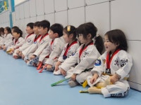 경희대박사 엘리트태권도장