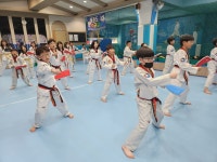 경희대박사 엘리트태권도장